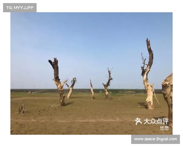 胡杨林赛事设四大组别总长五十八点五公里成功入选全国精品骑行线路 胡杨林赛事设四大组别总长五十八点五公里成功入选全国精品骑行线路
